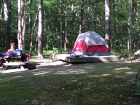 Tent on camp site