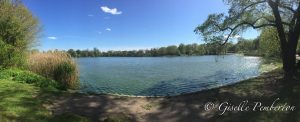 Prospect Park Lake